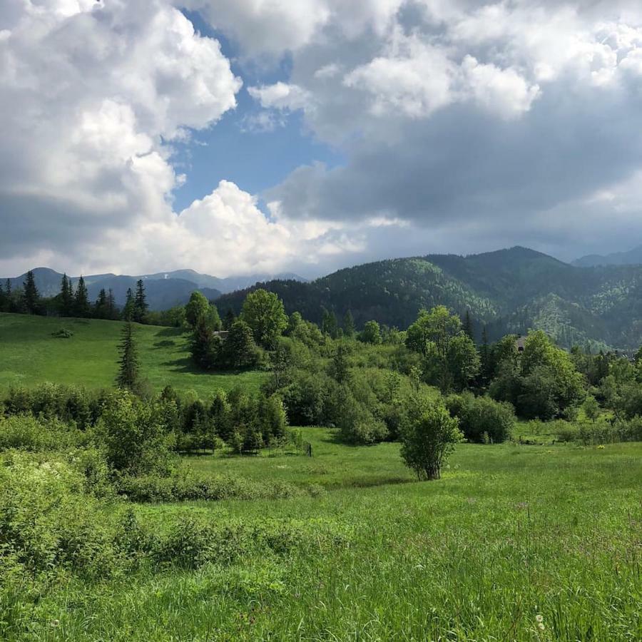 Apartament Wierchy Zakopane Kültér fotó